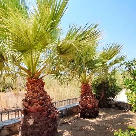 Naxian Bliss Lejlighed Agkidia